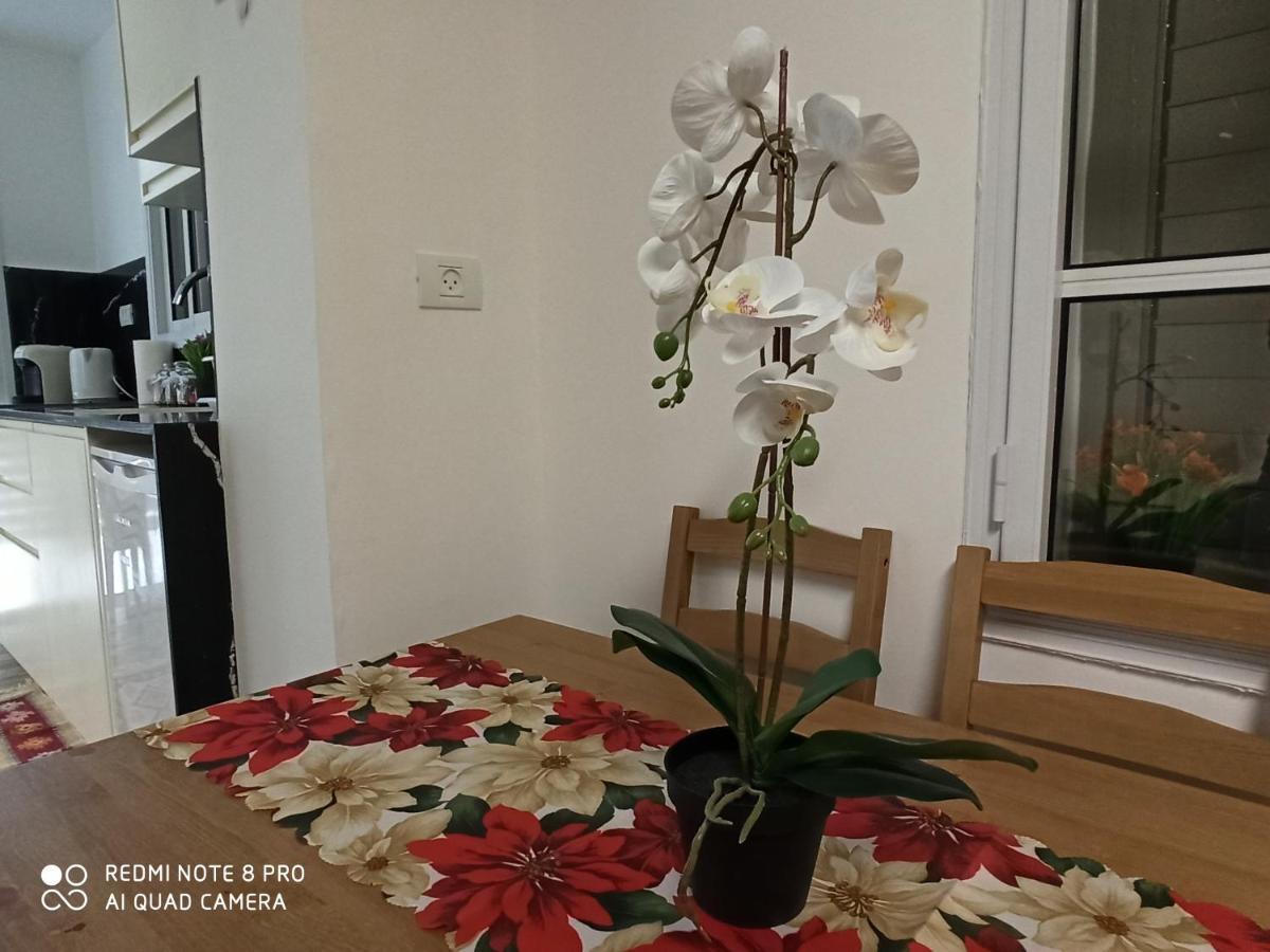 حيفا Boutique 22 Guest Rooms المظهر الخارجي الصورة